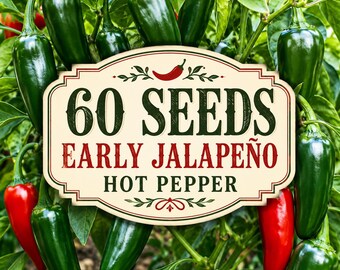 Caladium Heirloom Seeds 100 Pack | Tropical Foliage, Shade Garden Plant