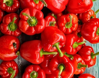 100 große rote Paprika Samen - Großes süßes Rot zum Bepflanzen, Erbstück Garten
