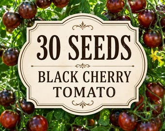 30 Black Cherry Tomato Seeds – Heirloom Dark Red Tomato for Planting – Indeterminate Garden Vegetable