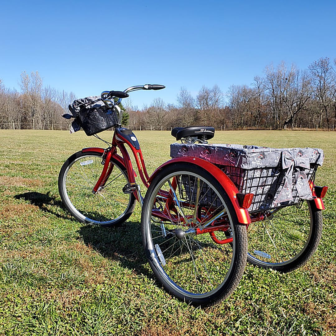 Las mejores ofertas en Triciclo bicicletas con cesta