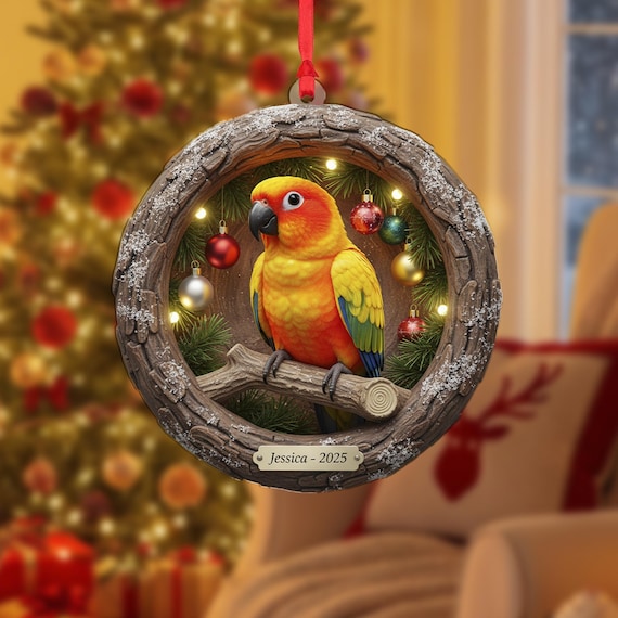 2D flat Personalized Acrylic Ornament: Sun Conure Parrot Bird, Tropical Pet Decoration, Custom Name