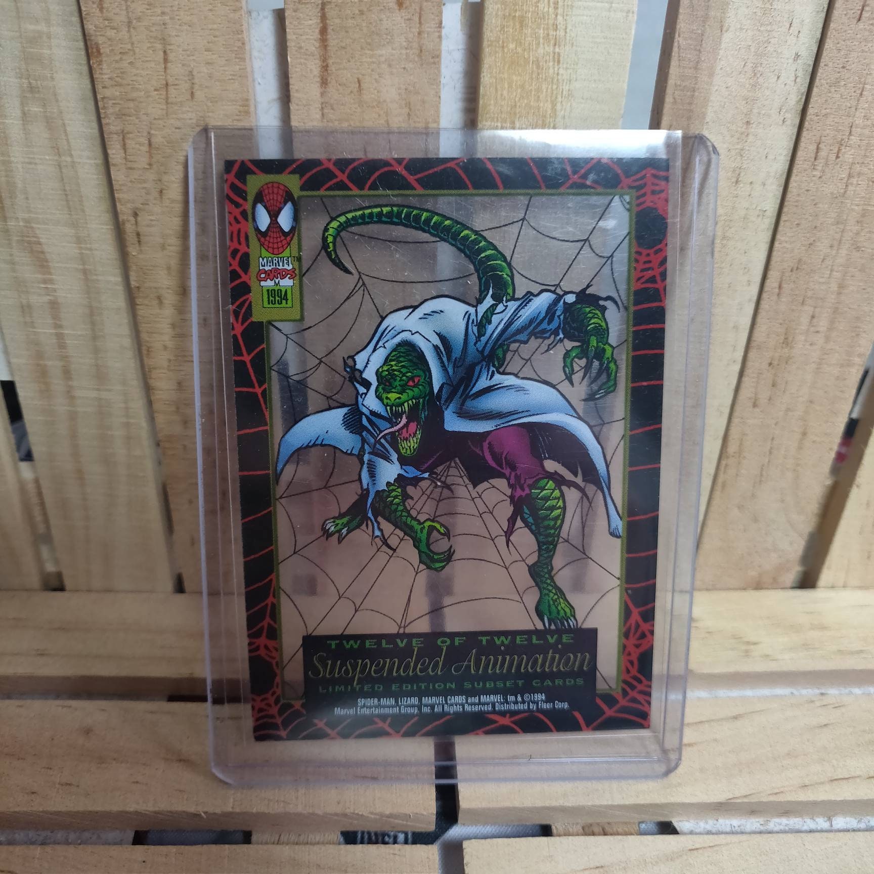 Buy Lizard Suspended Animation Clear Acetate Insert Sub Set Card Online in India - Etsy Buy Lizard Suspended Animation Clear Acetate Insert Sub Set Card Online in India - Etsy
