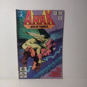May include: A comic book cover featuring the title "Arak, Son of Thunder." The artwork depicts a battle scene with two figures, one in brown and the other in tan, against a backdrop of blue and green. The text "Into the Valley of Death" is visible.