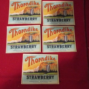 Set von 5 Antik Thorndike Federn Throndike Ma, verwendet Erdbeer Soda Flasche Etiketten Ladenhüter nie Lithographie Farbpapier