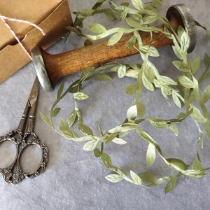 Olive Green Leaves Ribbon 1/4 wide BY THE YARD, Olive Green Leaf Trim, Weddings, Cards, Favors image 1