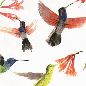10 sheets HUMMINGBIRDS Tissue Paper , Gift, Craft , Retail Store, DYI