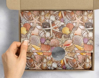 Design Gift Tissue Paper 20" x 30", Seashells  Gift Wrap