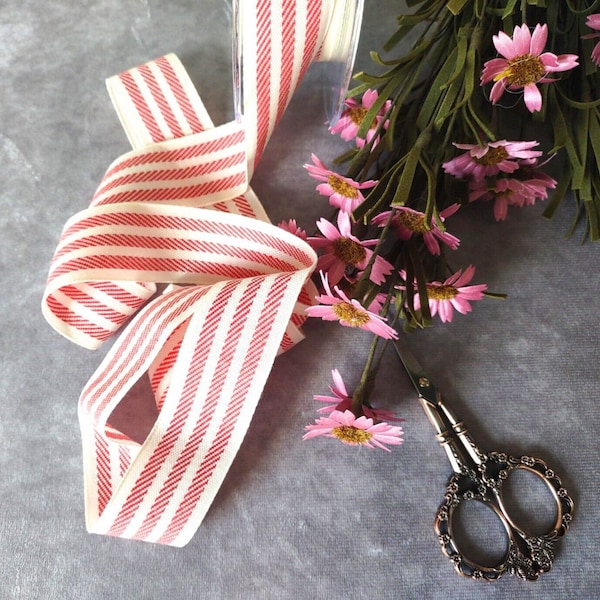 Candy Stripe Ribbon - Etsy