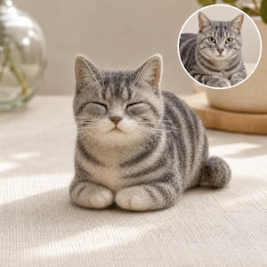 Peut inclure: Figurine de chat rayé gris et blanc, les yeux fermés, couché, les pattes repliées. Le chat a une petite queue et de longues moustaches. Une image circulaire d'un chat similaire est en arrière-plan.