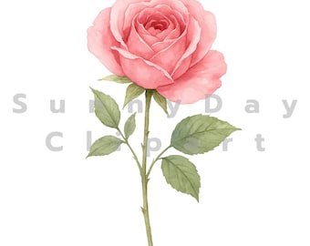 Pink Rose PNG JPG | Vintage Watercolor Floral Clipart | Romantic Botanical Art Download