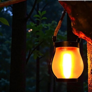 May include: A hanging lantern with a warm, orange glow. The lantern has a black metal frame and a frosted glass body. It is suspended from a tree branch by a rope. The background is a dark forest.