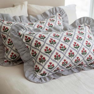 May include: Two decorative throw pillows with a floral pattern of red flowers and green leaves on a white background. The pillows have a blue diamond grid design and are trimmed with a ruffled edge of blue and white stripes.