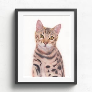 Può includere: Un dipinto ad acquerello incorniciato di un gatto del Bengala. Il gatto ha un mantello maculato marrone e beige, con grandi occhi gialli e orecchie rosa. L'opera d'arte è ambientata su uno sfondo bianco e incorniciata in una cornice nera.