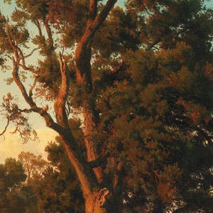 Close-up of A Majestic Tree in the Evening Light by Oswald Achenbach: the sunlit trunk and branches glowing orange against the evening sky.