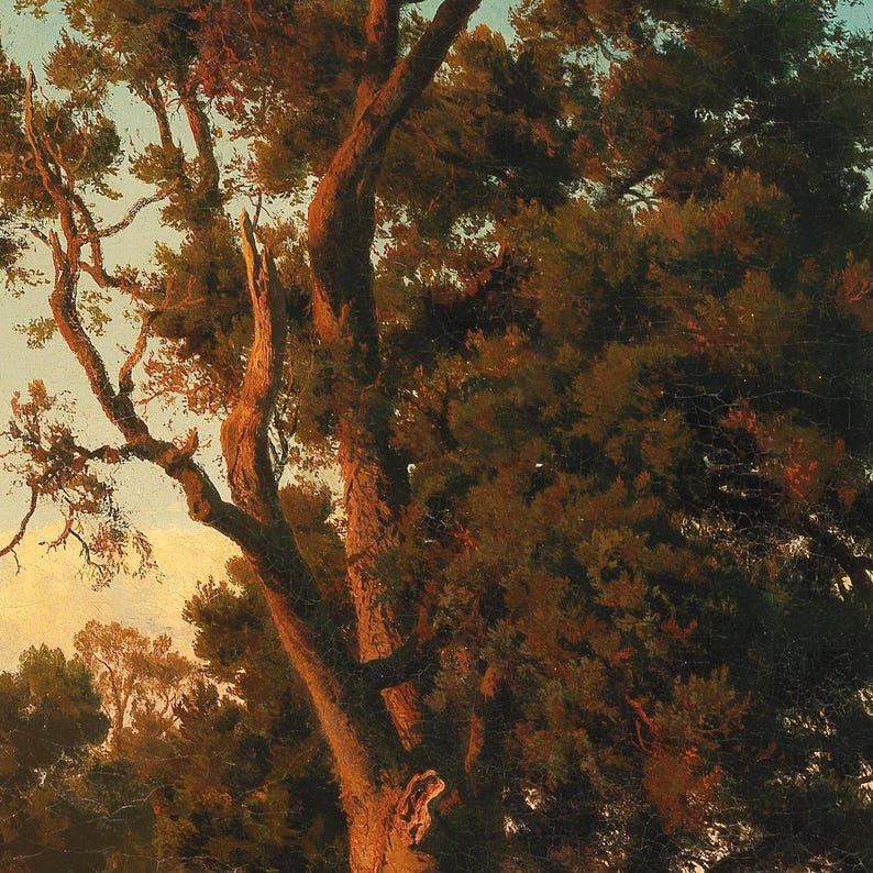 Close-up of A Majestic Tree in the Evening Light by Oswald Achenbach: the sunlit trunk and branches glowing orange against the evening sky.