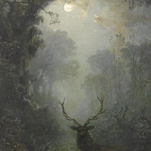 Close-up of Deer in the Forest by Eugen Krüger: the stag in the moonlit clearing.