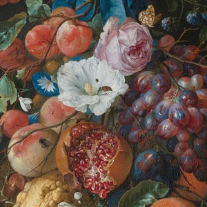 Close-up of Festoon of Fruit and Flowers by Jan Davidsz de Heem: a white morning glory, a pink rose, purple grapes and a split pomegranate.