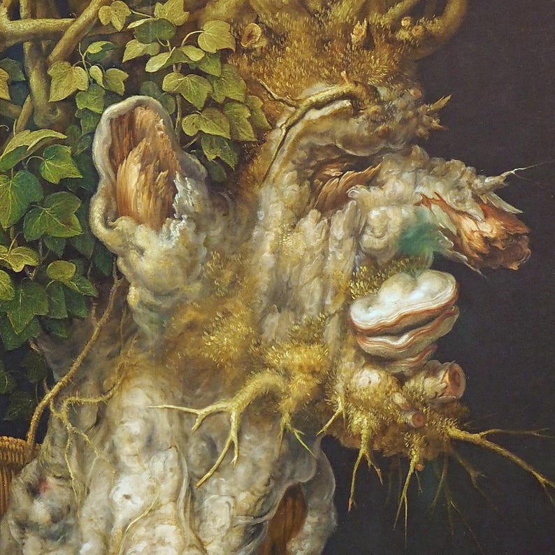 Close-up of Winter by Giuseppe Arcimboldo: the cracked bark face, the fungus mouth and the ivy.