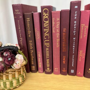 Real Book Router Cover: Hidden Cord Storage, Custom Colors