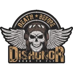 May include: A patch featuring a skull wearing a pilot's helmet and goggles, with feathered wings. The text "DEATH BEFORE DISHONOR" arches above the skull, and "BORN TO FLY" is below. The design uses shades of brown, black, and white.
