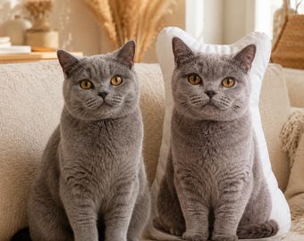 Pode incluir: Um gato British Shorthair cinzento sentado ao lado de uma almofada branca em forma de gato. A almofada apresenta uma imagem impressa de alta resolução de um gato cinzento com olhos âmbar, igual à aparência do gato real ao lado.