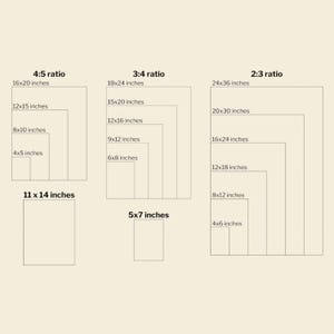 May include: A beige graphic showing various rectangular art print sizes and aspect ratios, including 4:5, 3:4, and 2:3 ratios. Sizes are listed in inches, such as 16x20 inches, 12x15 inches, and 8x10 inches.