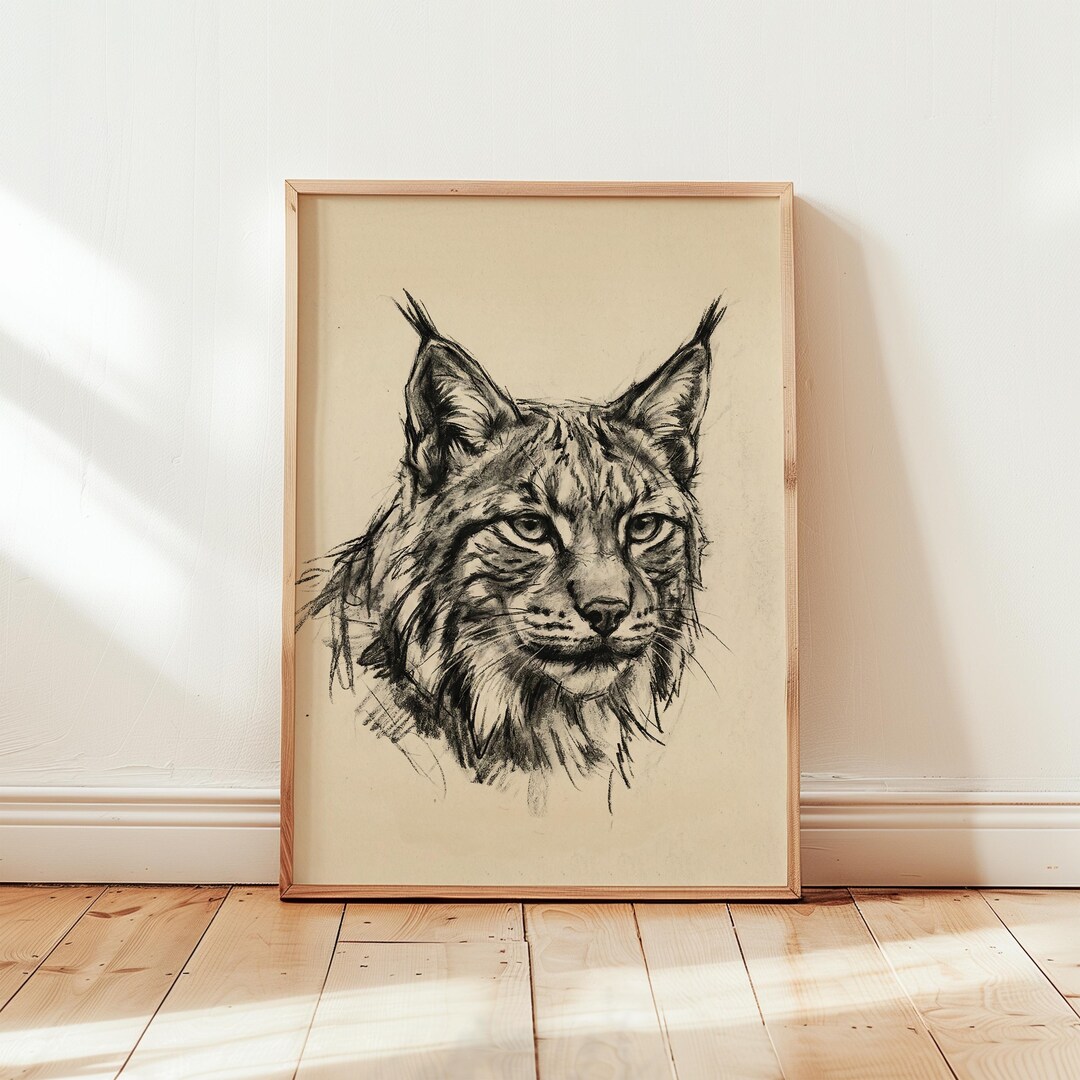 Rustic Bobcat Bobcat Charcoal Sketch Art Print - Rustic Mountain Woodland Wall Decor ...