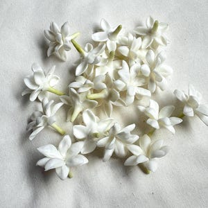 May include: A collection of white jasmine flowers with multiple petals and green stems, scattered on a white fabric surface. The flowers are in various stages of bloom, showcasing their delicate structure.