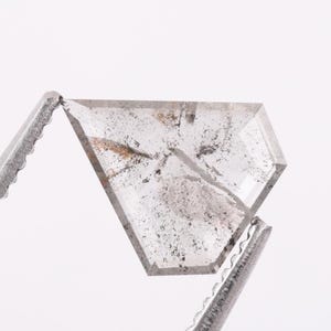 Può includere: Una gemma traslucida a forma di scudo con una superficie sfaccettata. La pietra è chiara con inclusioni interne visibili, caratterizzata da macchie grigio scuro e nere sparse, insieme a una distinta vena minerale bruno-aranciata.