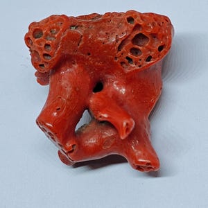 May include: A vibrant red coral specimen with a unique, organic shape. The coral features a porous texture with multiple holes and branching structures. The color is a deep, saturated red, and the overall form is irregular and natural.