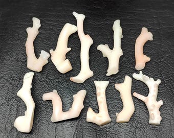 Japanese White Coral Branch: Polished Gemstone Sticks for Jewelry (10 Pcs)