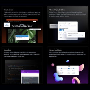 May include: A digital interface showcasing website design features. The image displays sections on dynamic content, advanced display conditions, custom code, and animated scroll effects. Text includes "Turn Over A New Leaf" and code snippets.