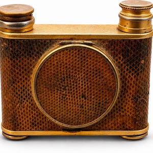 Art Deco Snake Skin Camera Vanity Case: Marcel Franck Le Kid, 1920s France