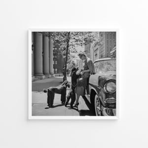 Poster con stampa di Slim Aarons Inga Lindgren e barboncini, stampa vintage, stampa fotografica in bianco e nero, stampa fotografica dell'alta società,