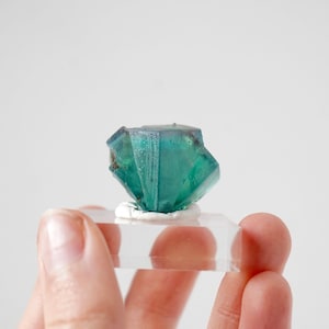 Fluorite Twin - Hollywell Mine, Fosterley, UK