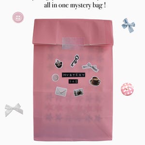 Bolsa misteriosa para llevar un diario