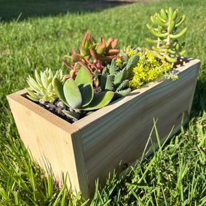 Indoor/Outdoor Rustic Wooden Centerpiece Cedar Planter Box and Decor Great for Cactus Herbs Flowers Small Shrubs and Succulents 11&quot;x5.25&quot;x6&quot;