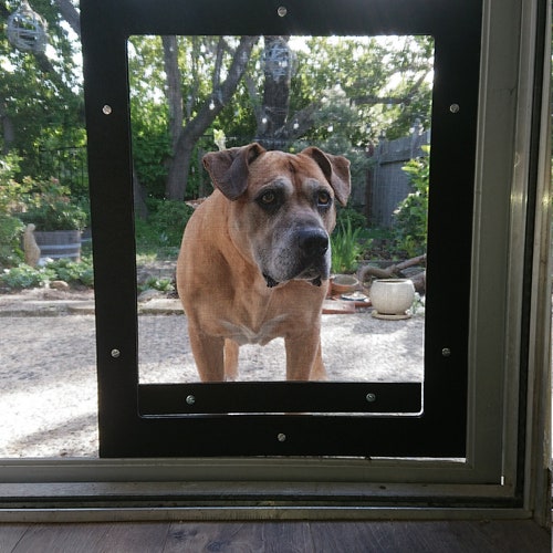How To Put A Dog Door In A Storm Door