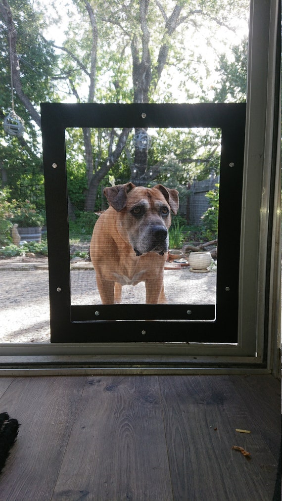 15 ideas de Puerta salida para perro  puertas para perros, puerta para  mascotas, decoración de unas