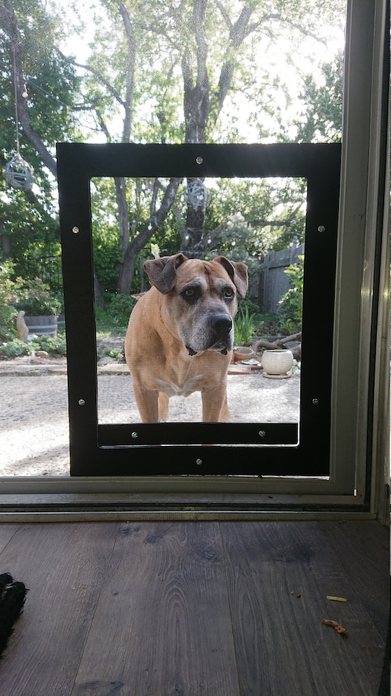 15 ideas de Puerta salida para perro  puertas para perros, puerta para  mascotas, decoración de unas