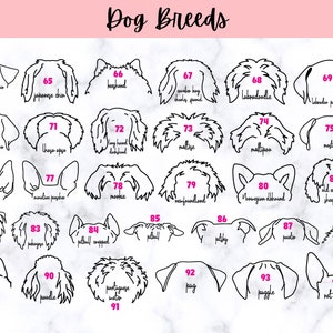 Puede incluir: Una ilustraci&oacute;n en blanco y negro de 94 razas de perros diferentes. Cada raza est&aacute; numerada y etiquetada con su nombre. La imagen est&aacute; sobre un fondo de m&aacute;rmol rosa y blanco.