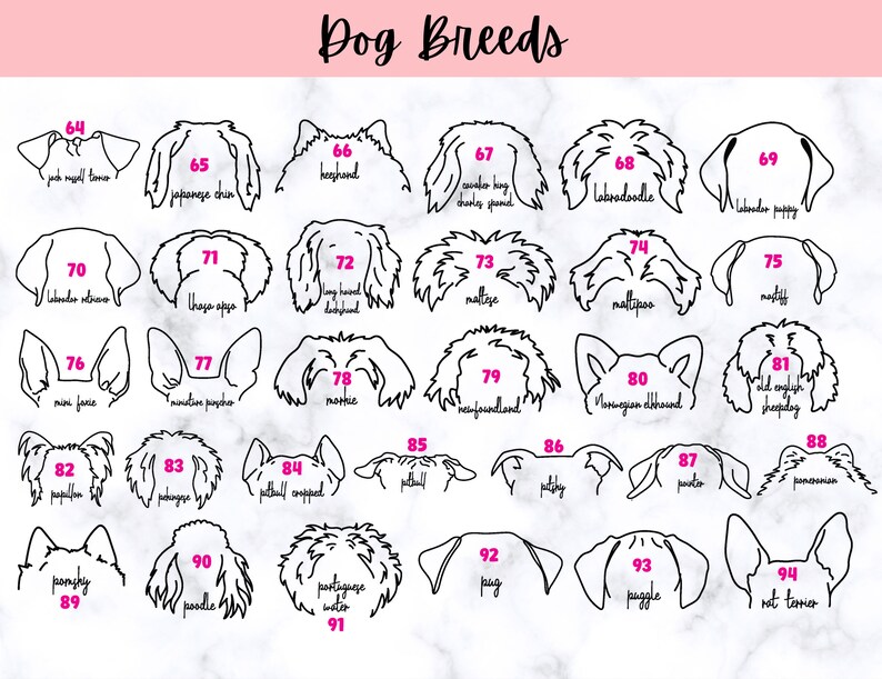 Puede incluir: Una ilustraci&oacute;n en blanco y negro de 94 razas de perros diferentes. Cada raza est&aacute; numerada y etiquetada con su nombre. La imagen est&aacute; sobre un fondo de m&aacute;rmol rosa y blanco.