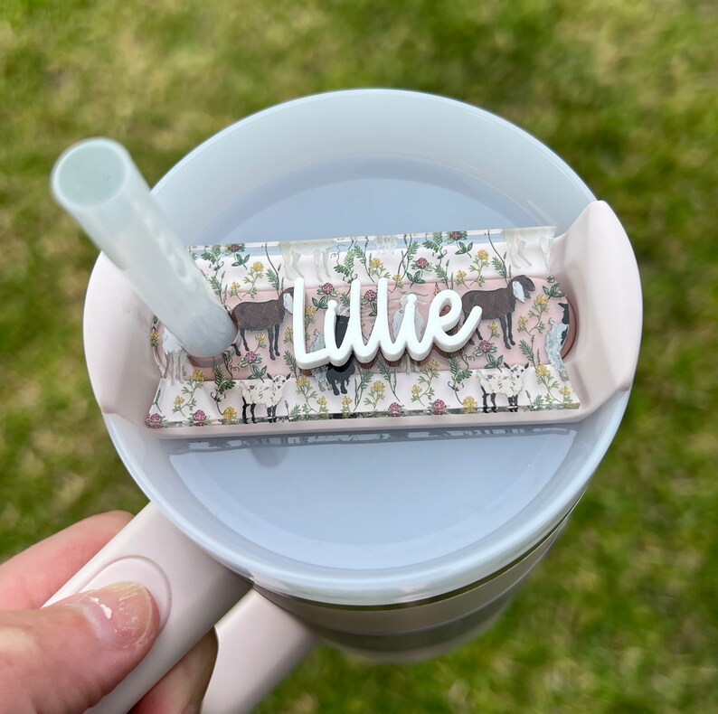 May include: A pink and white tumbler with a clear lid and a straw. The lid has a clear plastic insert with a floral pattern and the name "Lillie" written in white.