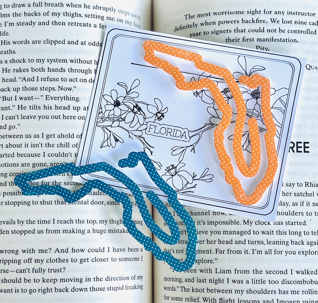 Florida State Bookmark, FL Vacation Keepsake, Family Trip Memory, State ...