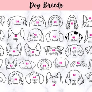 Puede incluir: Una ilustraci&oacute;n en blanco y negro de 63 razas de perros diferentes. Cada raza est&aacute; numerada y etiquetada con su nombre. La imagen est&aacute; sobre un fondo blanco con una pancarta rosa en la parte superior que dice "Dog Breeds".