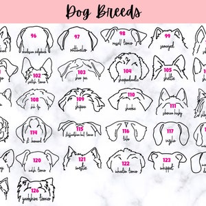 Puede incluir: Una ilustraci&oacute;n en blanco y negro de 126 razas de perros diferentes. Cada raza est&aacute; numerada y etiquetada con su nombre. La imagen est&aacute; sobre un fondo de m&aacute;rmol blanco.