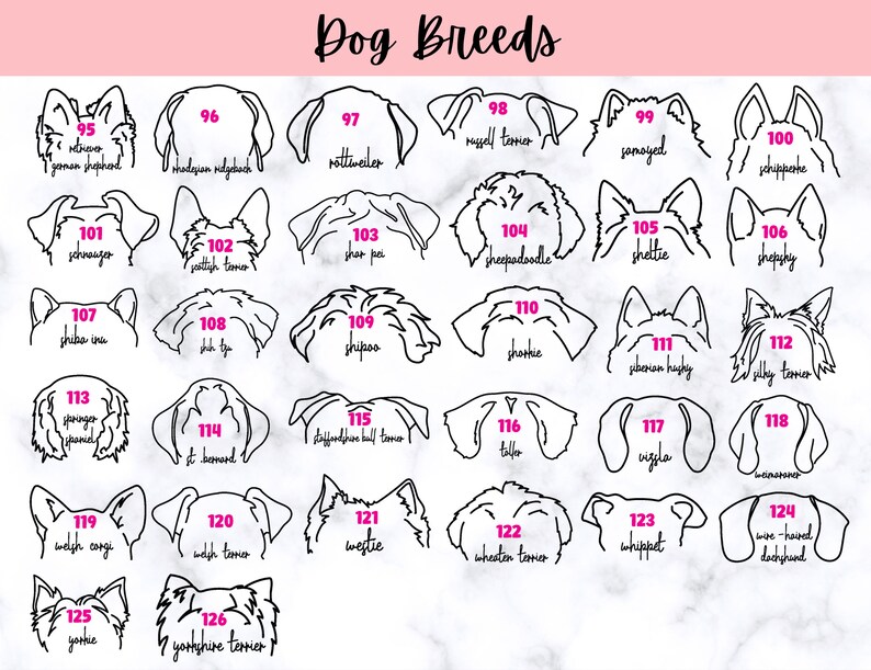 Puede incluir: Una ilustraci&oacute;n en blanco y negro de 126 razas de perros diferentes. Cada raza est&aacute; numerada y etiquetada con su nombre. La imagen est&aacute; sobre un fondo de m&aacute;rmol blanco.