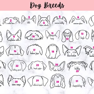Puede incluir: Una ilustraci&oacute;n en blanco y negro de 32 razas de perros diferentes, cada una numerada y etiquetada con el nombre de la raza. Las ilustraciones est&aacute;n dispuestas en una cuadr&iacute;cula sobre un fondo de m&aacute;rmol blanco.