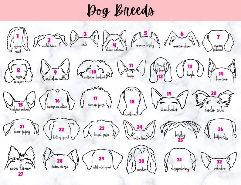 Puede incluir: Una ilustraci&oacute;n en blanco y negro de 32 razas de perros diferentes, cada una numerada y etiquetada con el nombre de la raza. Las ilustraciones est&aacute;n dispuestas en una cuadr&iacute;cula sobre un fondo de m&aacute;rmol blanco.