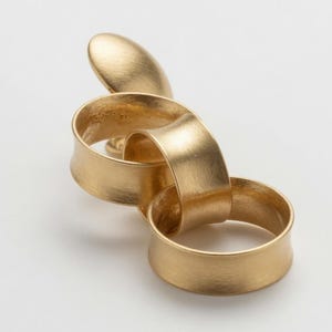 Pode incluir: Uma escultura abstrata dourada com acabamento em metal escovado. O design apresenta faixas curvas interconectadas e um elemento arredondado e alongado. A peça está sobre um fundo branco, destacando sua forma e textura.